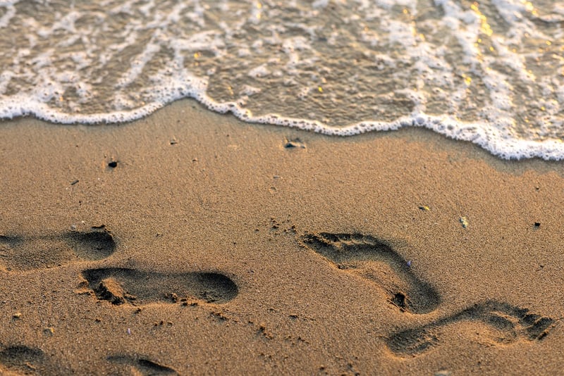 Beach Escape